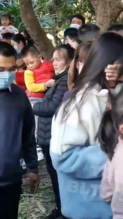 Chimpanzee calculate the distances and power needed to land the shot