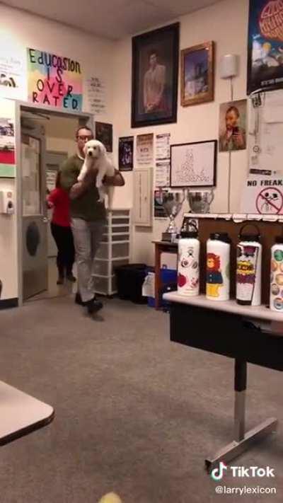 Do your bucking vocab.