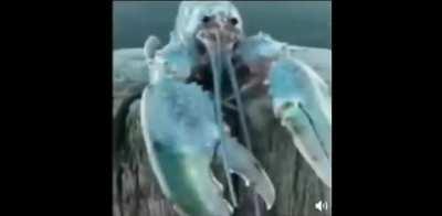 PLEASE LOOK AT THIS JAKEY PLEASE 🥺🥺🥺🥺🥺