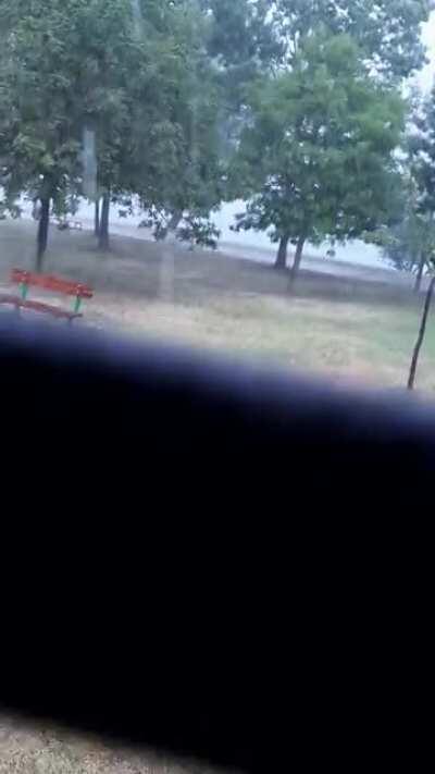 When you go for a walk without an umbrella...take some shelter and enjoy