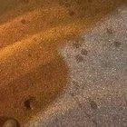 Some instant karma in Miami