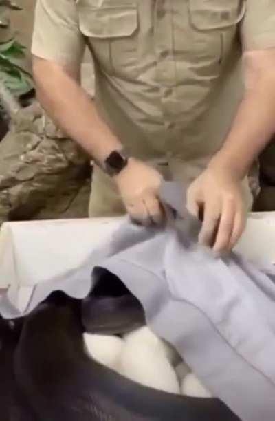 Here is your gift...