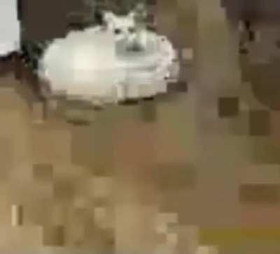 Not sure if possible.