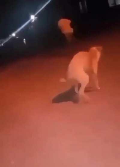 he is a menace to the society