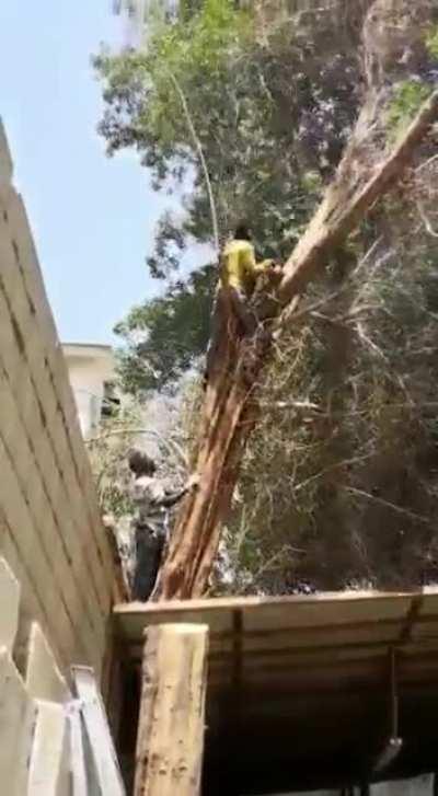 Found on HMFT. Figured it would fit better here.