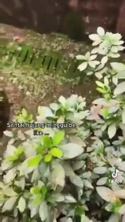 Football players after getting touched