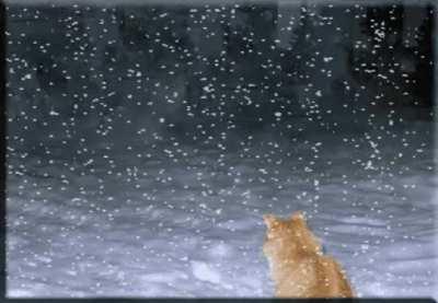 Staring Into The Abyss