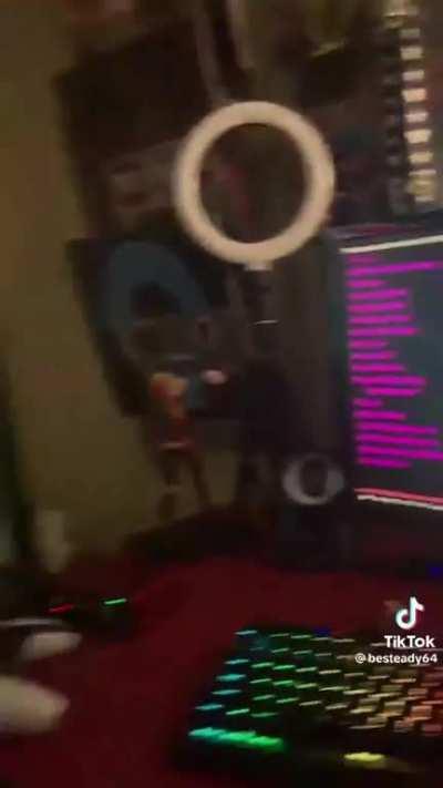 Average Cat Mario Denier