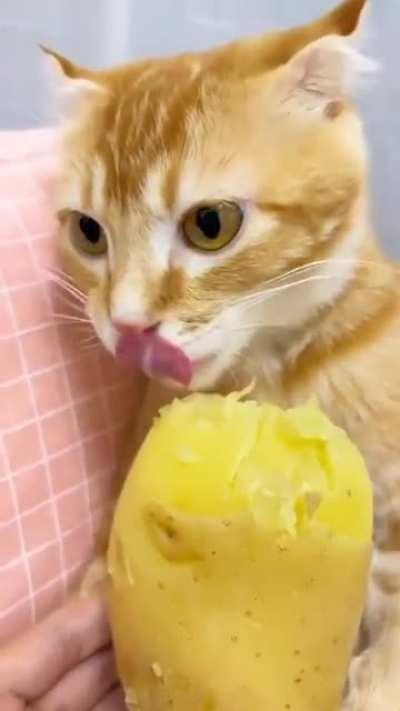 This makes me want a potato 😂