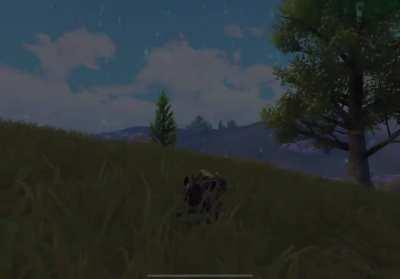 here is your daily dose of pain guys