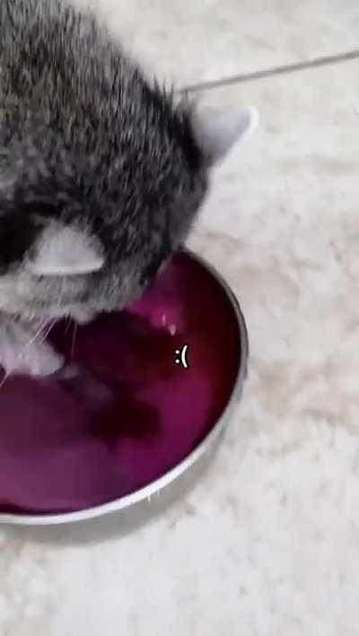 Finessed. Tricked. Bamboozled. :(