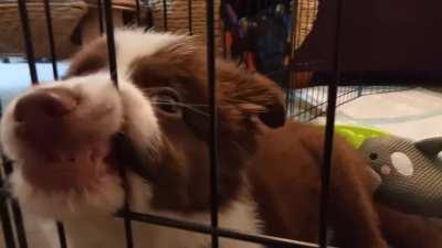 I laughed so hard I cried.