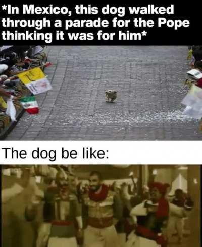 Wow these humans are very kind