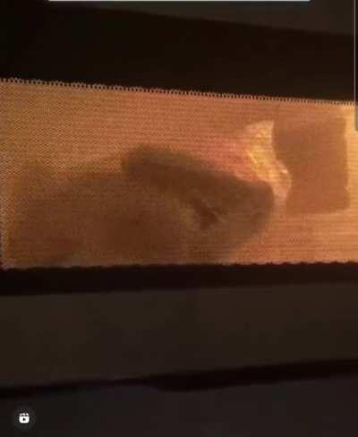 The white bread, the microwave...