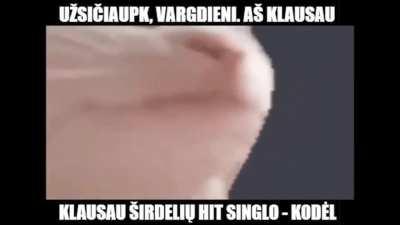 ne, mokytoja, aš neišmokau dalinti kampu per vasarą 😎😎😎