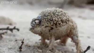 When you're trying to hide from the hunter but you're that one survivor...