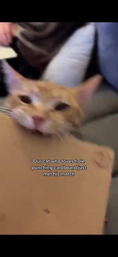 Spend this 5 min and chill.