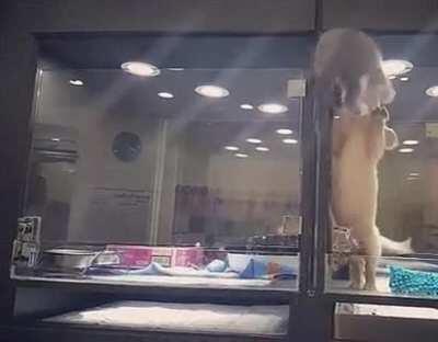 A post with a happy ending