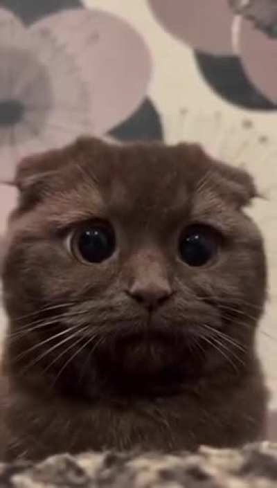 Need free resources for gate ece