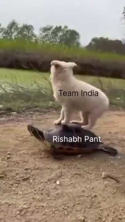 carrying ICT in test matches 