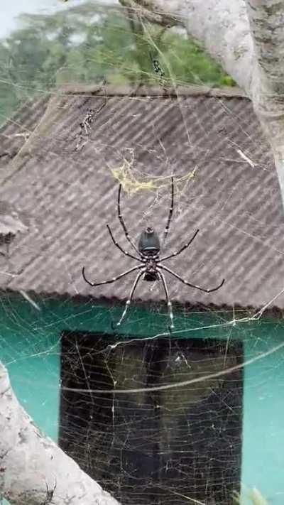 Welcome to Indonesia