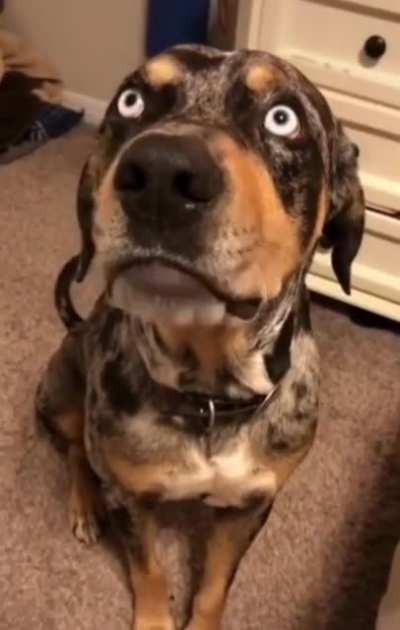 Когда споришь со своим человеком