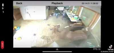 Apparently nobody told my horse that was a window and NOT a jump😳