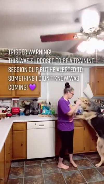Dog smells epileptic seizure before the human experiences it
