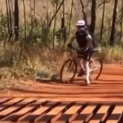 Terrible Drain Design