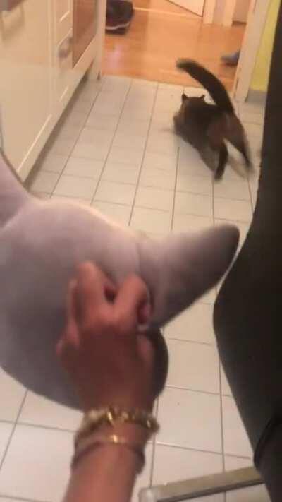 The post that birthed the sub.