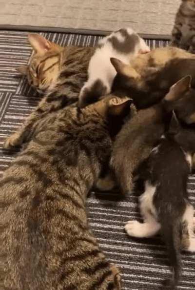 Dad... That's my spot...