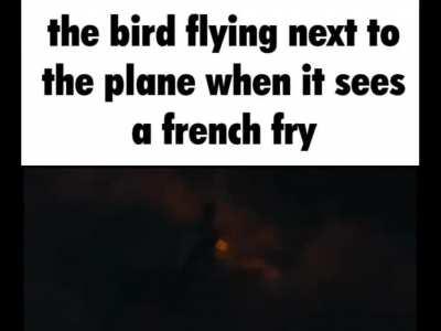 Worth it for the fry