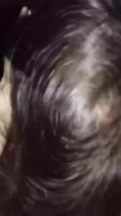 Party girls are the best