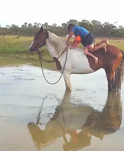 What a good horse and a loving brother