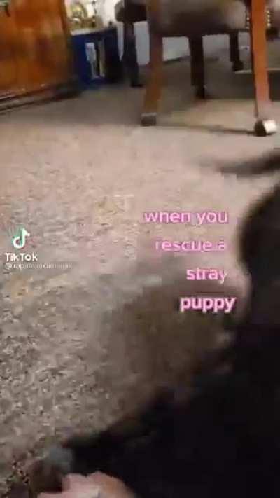 How could you have possibly made that mistake