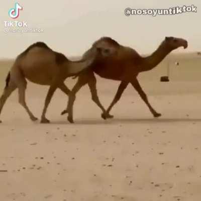 Mi para ti en la madrugada =/