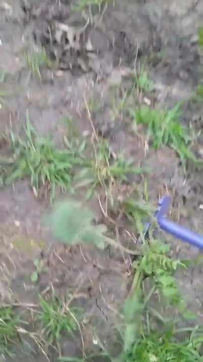 ¿Les gusta el emprendimiento de mi viejo?