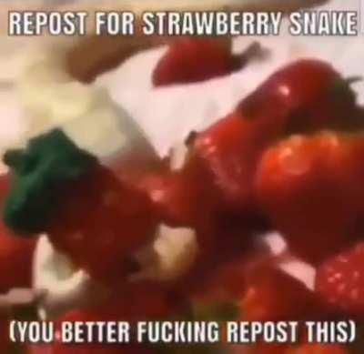Strawberry Snake :D