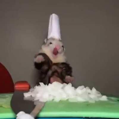 Not mine. Found it on another Reddit channel. But I love this video