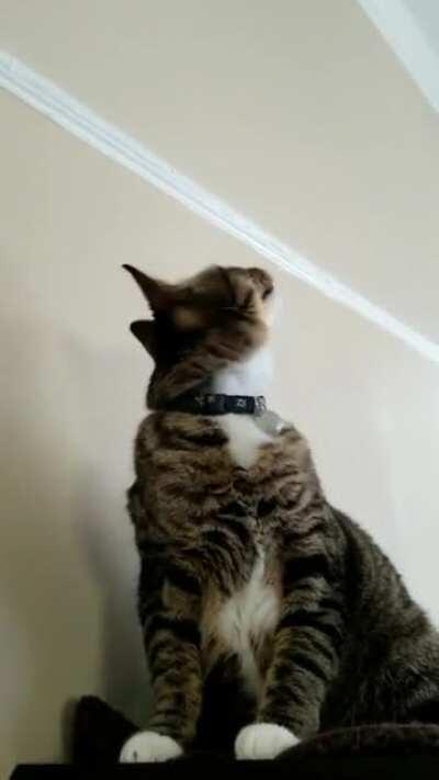 Communicating with the home planet.