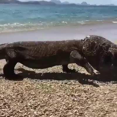 French kiss? I call this the Indonesian kiss ;)