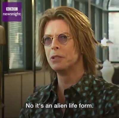 David Bowie in 1999 about the impact of the Internet on society