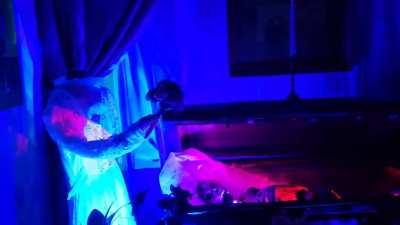 Every year I turn our house into the Haunted Mansion. Here's our 2022 display