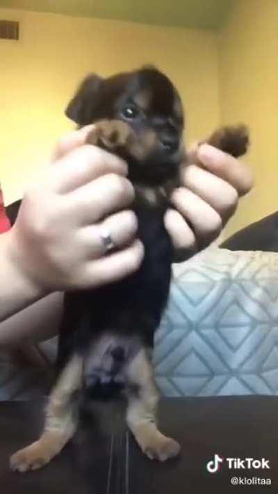 I mean...COME ON. this is wholesome 🥺