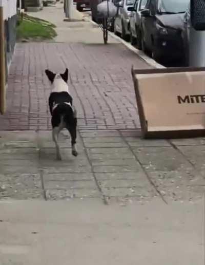 El general etaria orgulloso