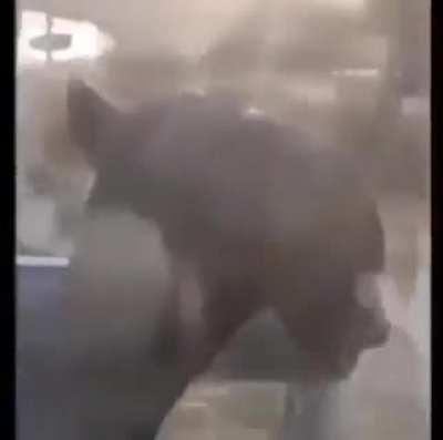 something feels so wrong