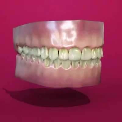 Thanks, I hate flacid teeth.