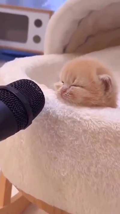 Stay tuned for an important message