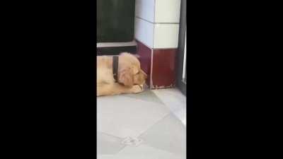 Is this a freaking Murder Drones reference?