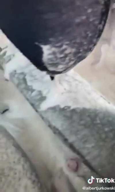 One way to clean a car